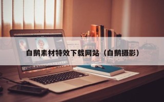 余姚白鹅素材特效下载网站（白鹅摄影）